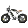 ENGWE M20 Dual Electric Bike