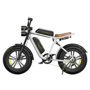 ENGWE M20 Dual Electric Bike